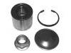 轴承修理包 Wheel bearing kit:77 01 208 059