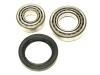 Juego, rodamiento rueda Wheel Bearing Rep. kit:5 007 027