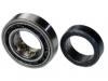 Wheel Bearing:53000475